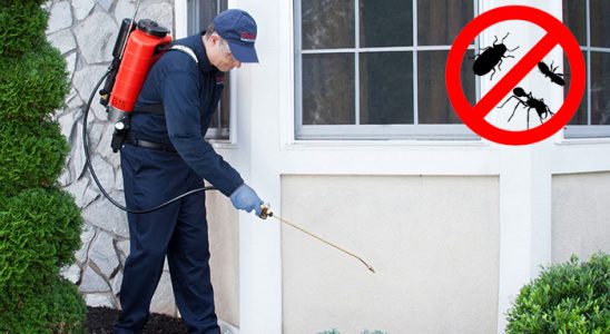 Çermik Hamam Böceği İlaçlama böcek ilaçlama ve haşere kontrolü — ilaclama-tr.com